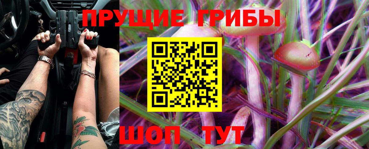 Псилоцибиновые грибы GOLDEN TEACHER Кунгур